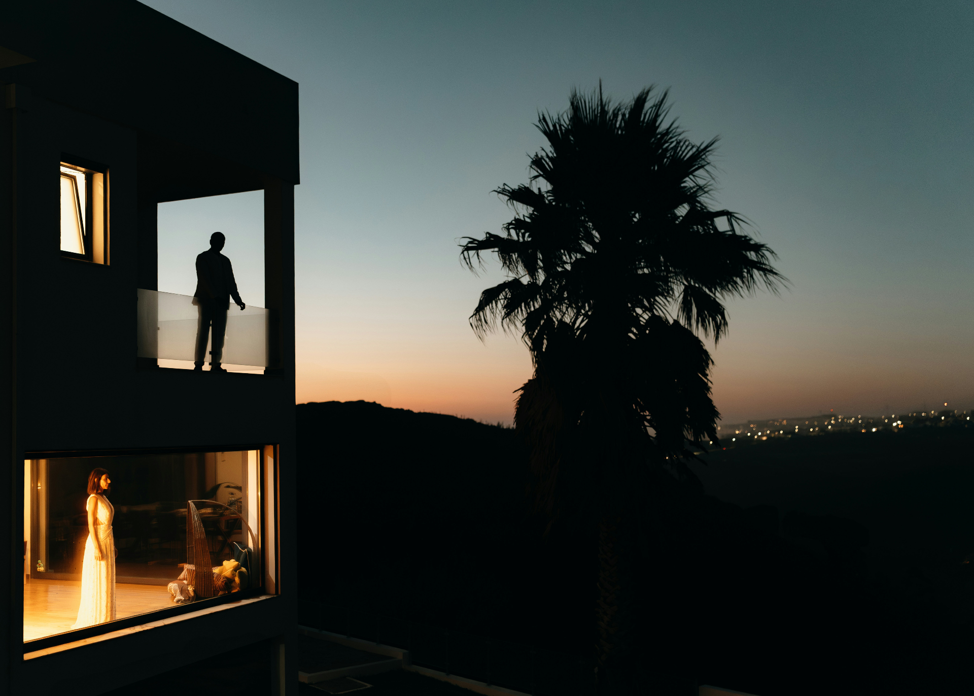 Modern hillside residence at twilight with palm silhouette